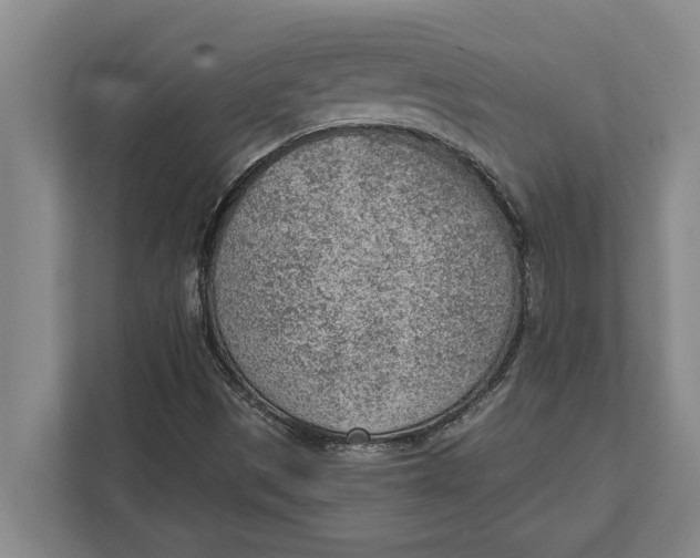 X0000111941497200908171246