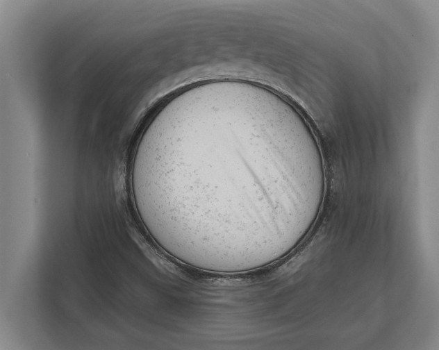 X0000111941499200908171246