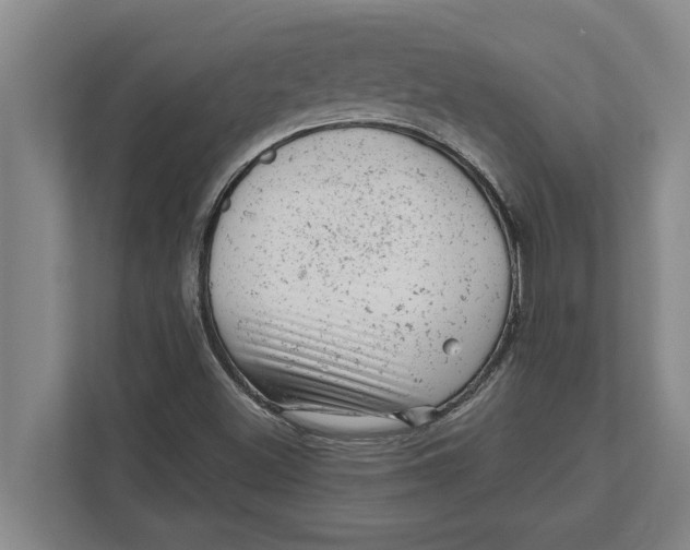 X0000111941500200908171246