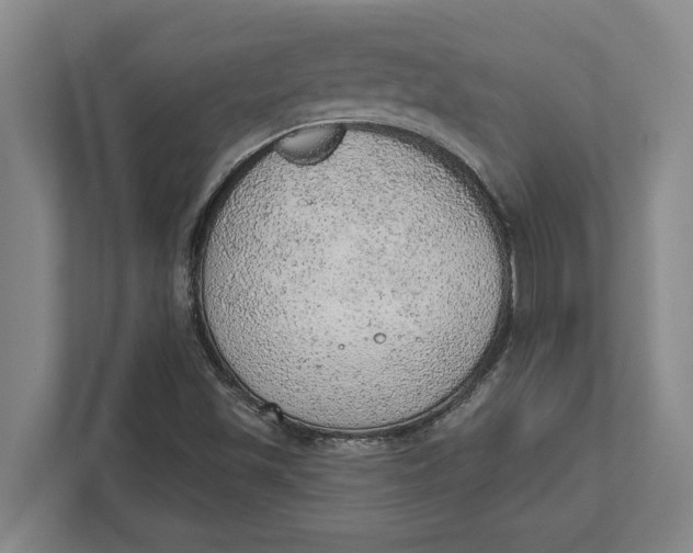 X0000111941501200908171246