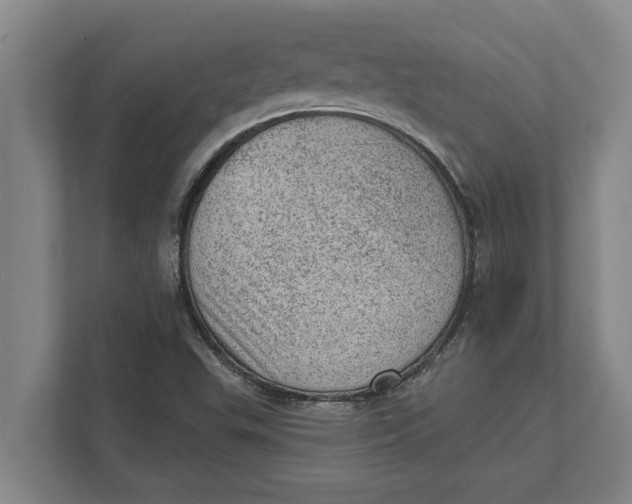 X0000111941503200908171246