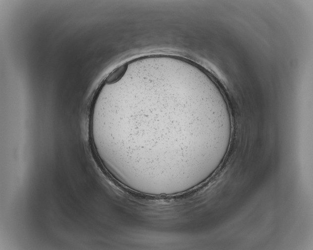 X0000111941504200908171246