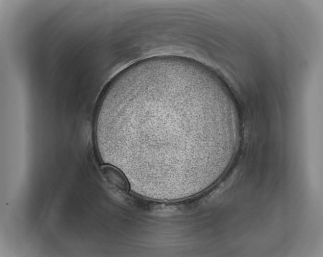 X0000111941505200908171246