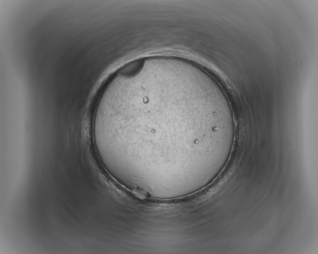 X0000111941506200908171246