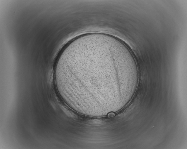 X0000111941507200908171246