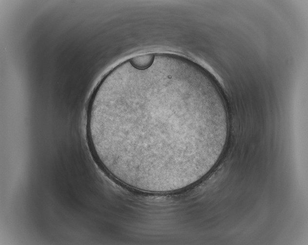 X0000111941508200908171246