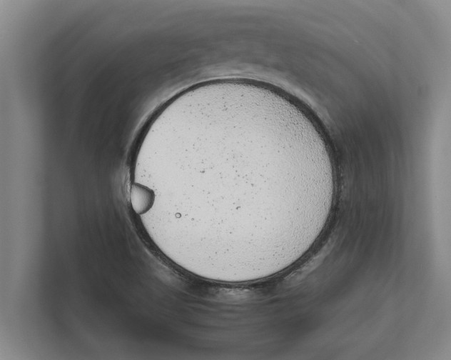 X0000111941509200908171246