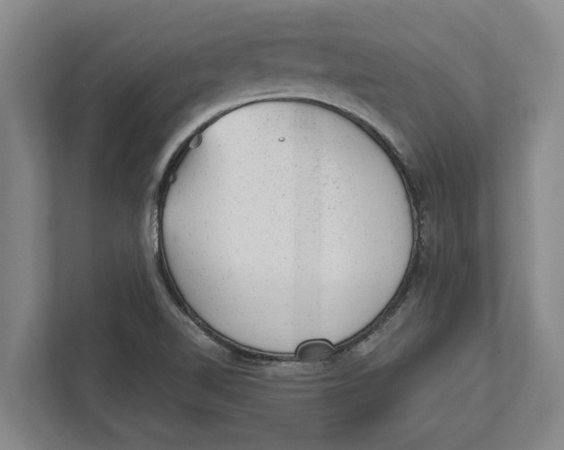 X0000111941510200908171246