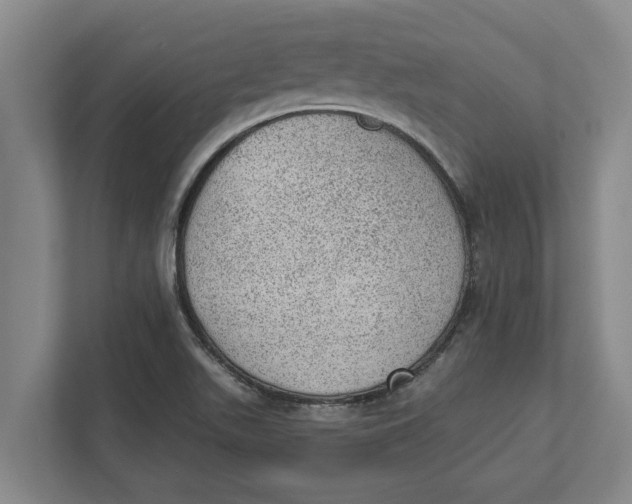 X0000111941511200908171246