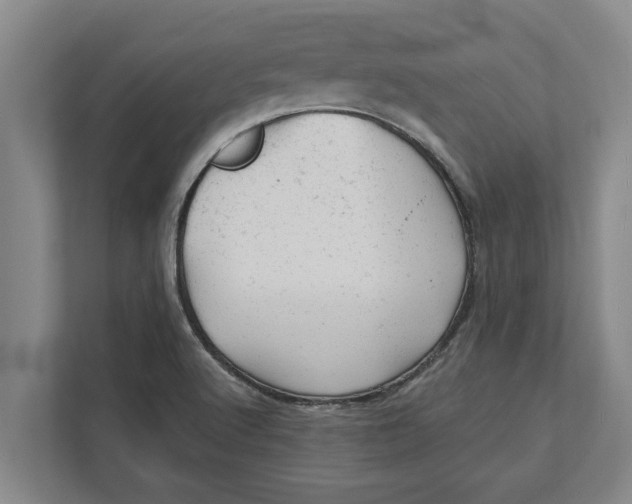 X0000111941512200908171246