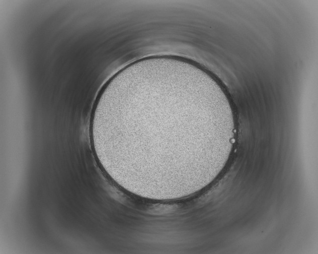 X0000111941513200908171246