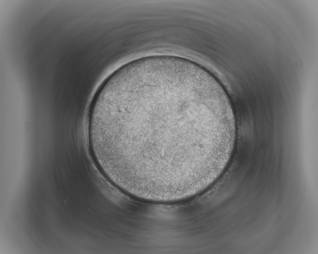 X0000111941514200908171246