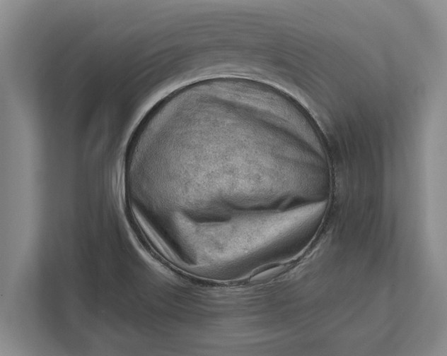 X0000111941515200908171246