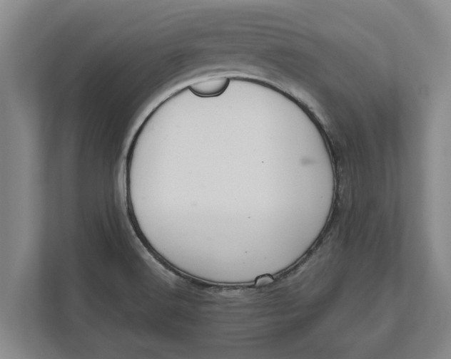 X0000111941516200908171246