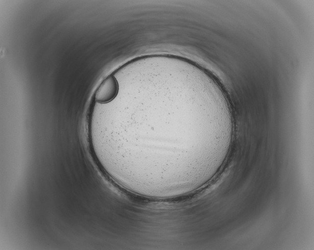 X0000111941517200908171246