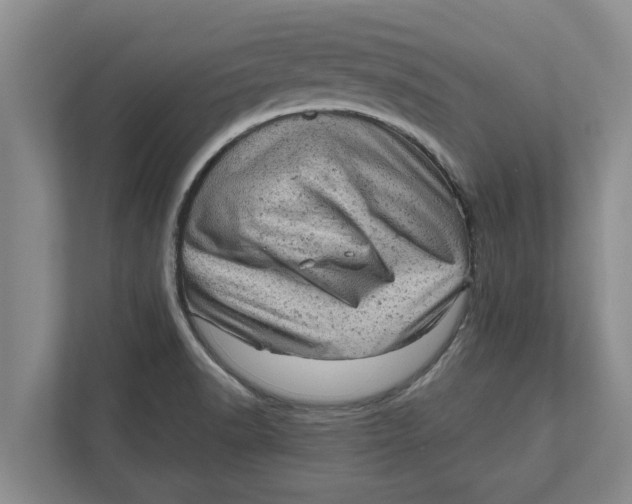 X0000111941518200908171246