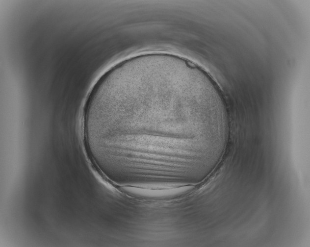 X0000111941519200908171246