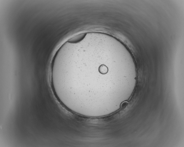 X0000111941520200908171246