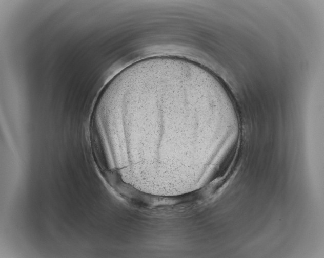 X0000111941521200908171246