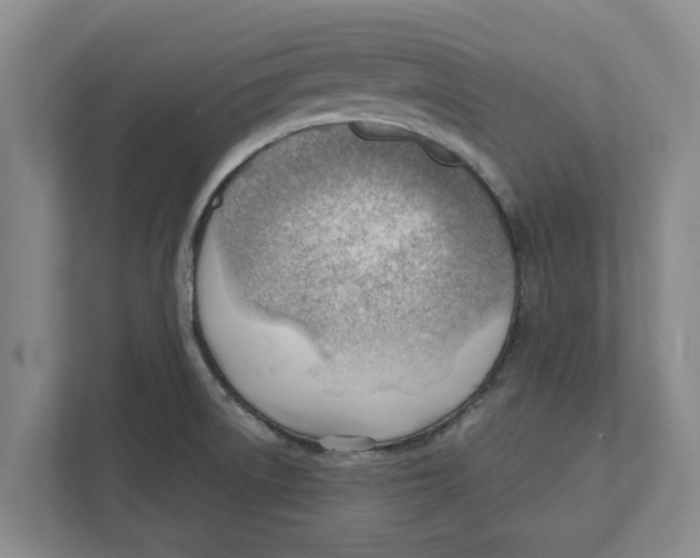 X0000111941522200908171246