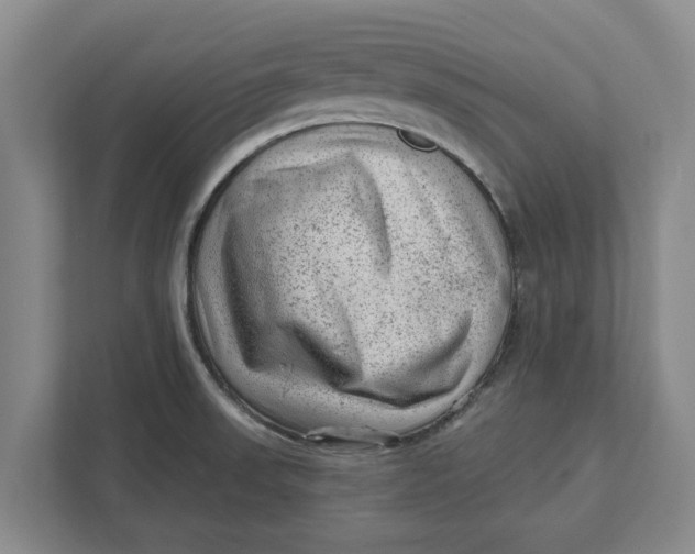 X0000111941523200908171246