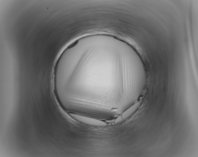 X0000111941524200908171246