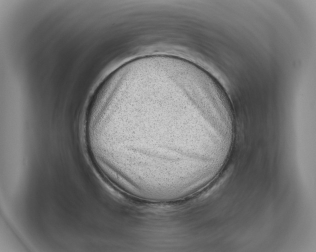 X0000111941525200908171246