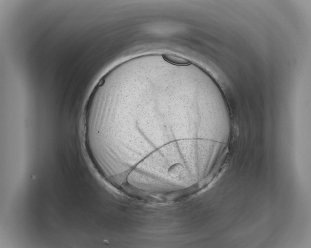 X0000111941526200908171247