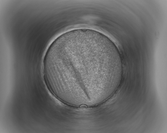 X0000111941527200908171247