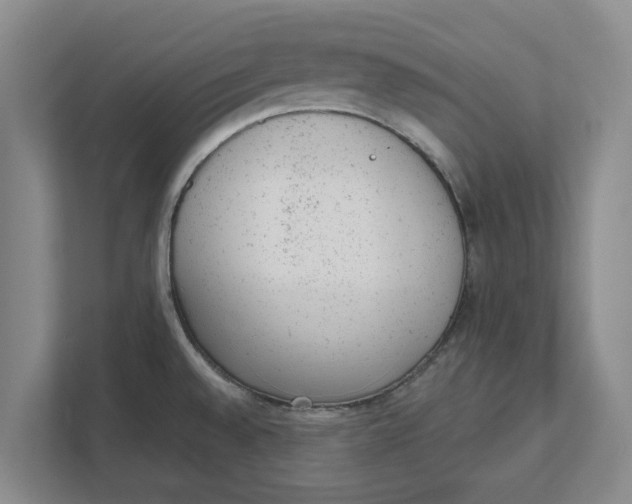 X0000111941528200908171247