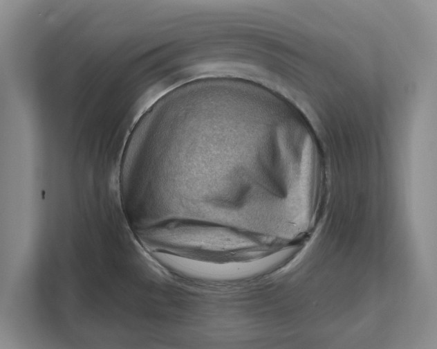 X0000111941529200908171247