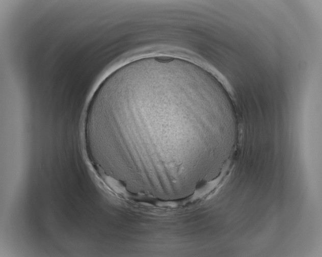 X0000111941530200908171247