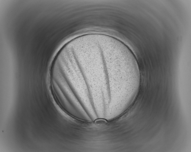 X0000111941531200908171247