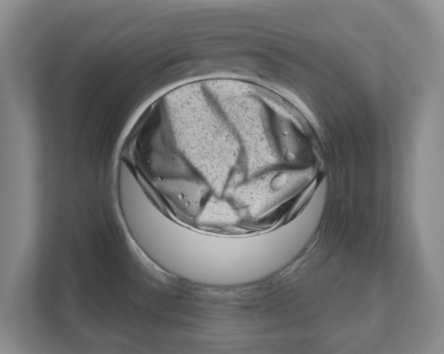 X0000111941532200908171247