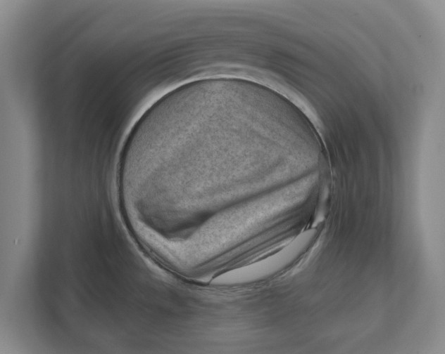 X0000111941533200908171247