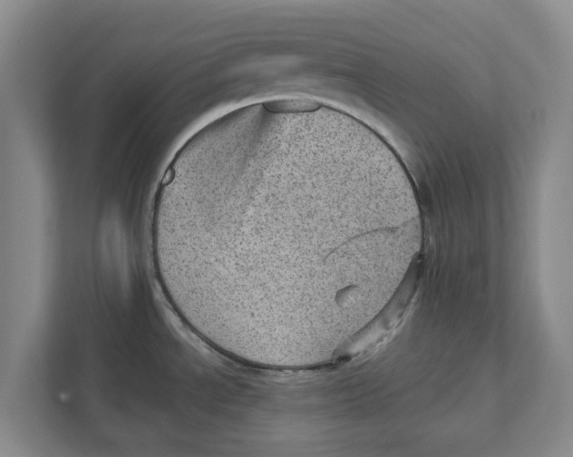 X0000111941534200908171247