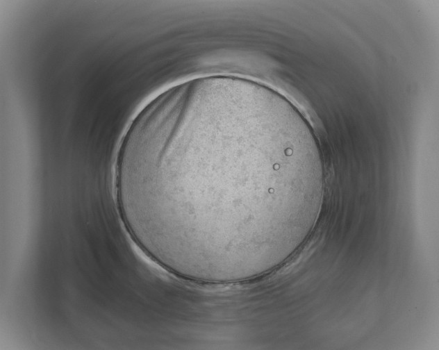 X0000111941535200908171247