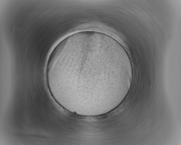 X0000111941536200908171247