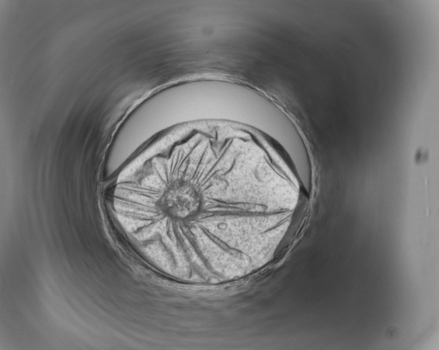 X0000111940001200908241151