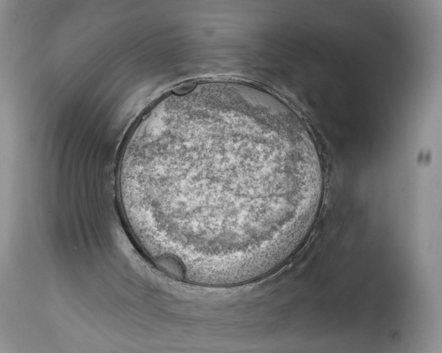 X0000111940002200908241151