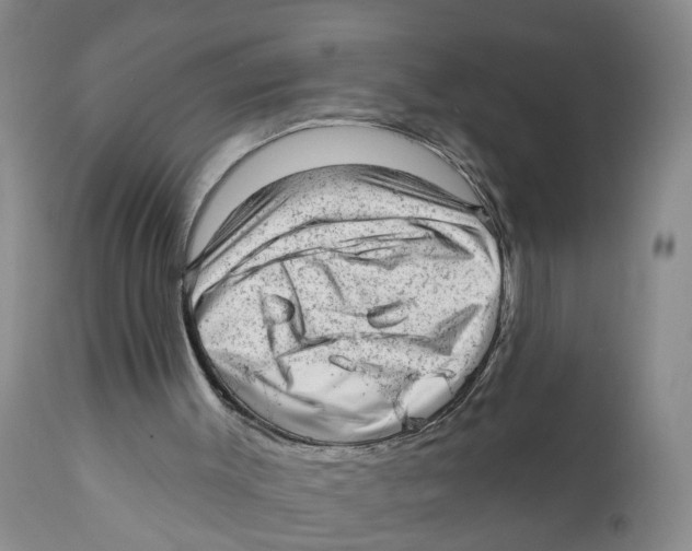 X0000111940003200908241151