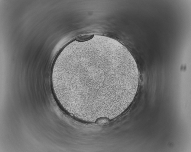 X0000111940004200908241151