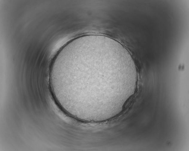 X0000111940005200908241151