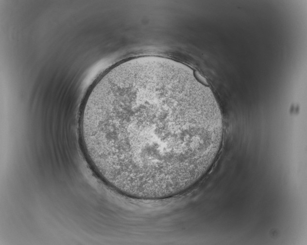 X0000111940006200908241151