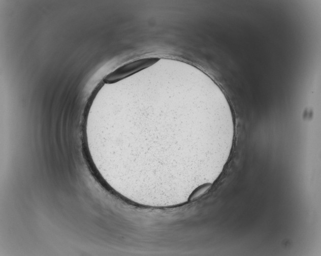 X0000111940007200908241151