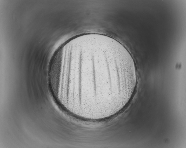 X0000111940008200908241151
