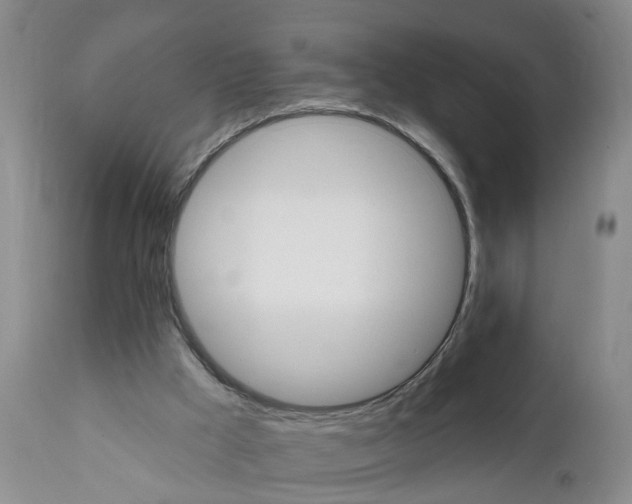 X0000111940009200908241151