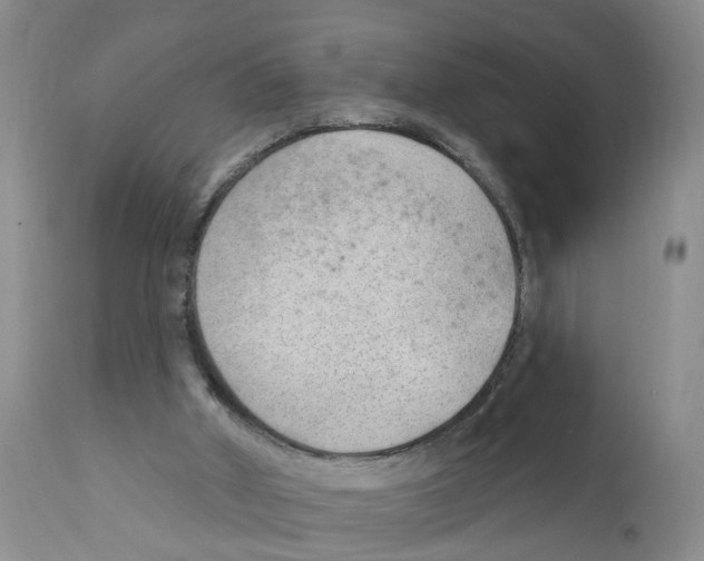 X0000111940010200908241151