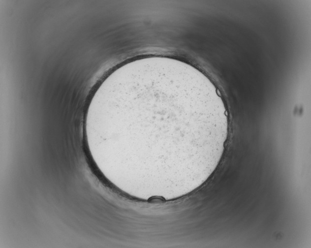 X0000111940011200908241151
