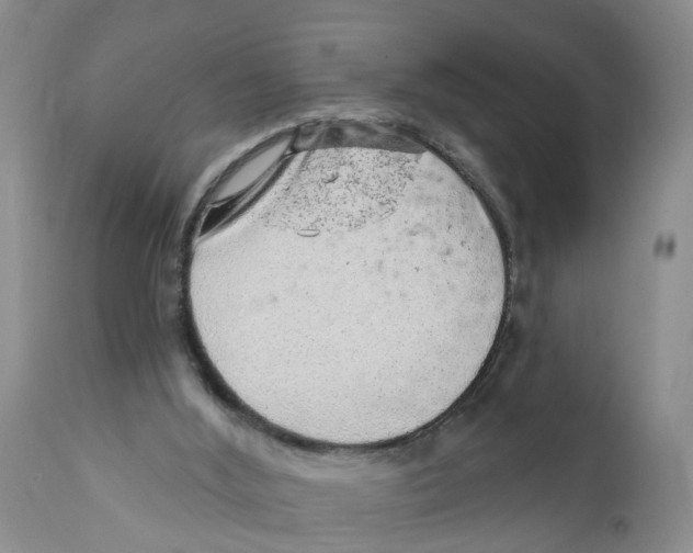 X0000111940012200908241151